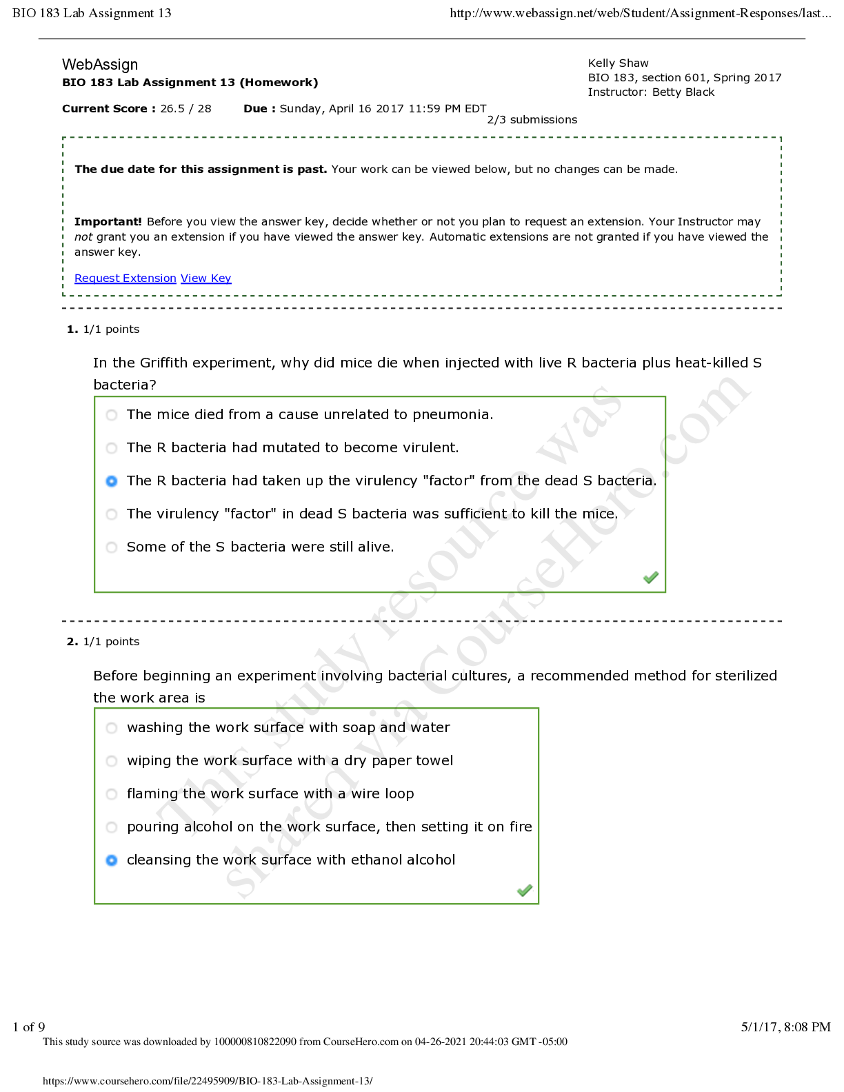 document-preview
